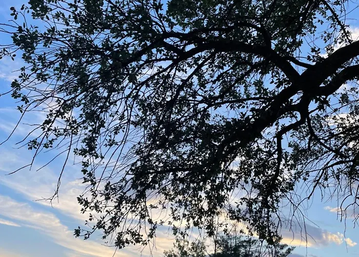 招待所 Douce Pause Darnius